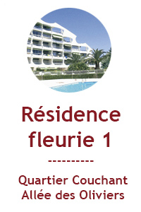 immeubles fleurie 1
